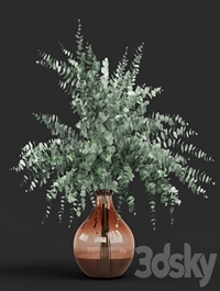 Vase eucalyptus cinerea