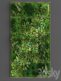 Vertical gardening 010