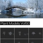 MAXTREE Plant Models Vol 50