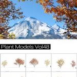 MAXTREE Plant Models Vol 48