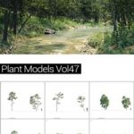 MAXTREE Plant Models Vol 47