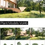 MAXTREE Plant Models Vol 46