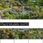MAXTREE Plant Models Vol 70