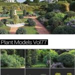 MAXTREE Plant Models Vol 77