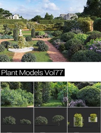 MAXTREE Plant Models Vol 77