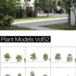 MAXTREE Plant Models Vol 52