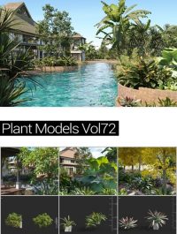 MAXTREE Plant Models Vol 72
