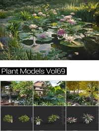 MAXTREE Plant Models Vol 69