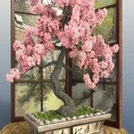 Bonsai 1 – Sakura