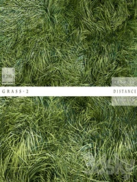 GRASS 2