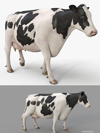 Turbosquid , Cow ,PRO, Holstein