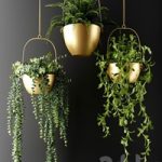 Ampel plants in bronze flower pots
