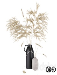 Vases set by H & M with pampas grass