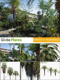 Bundle 15 - Palm World