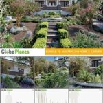 Bundle 12 – Australian Home & Garden Plants