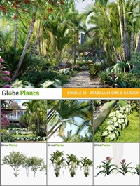 Bundle 32 - Brazilian Home & Garden Plants