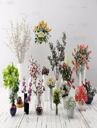 Floral indoor potted plants