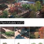 MAXTREE – Plant Models Vol 73