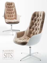 Armchair SITS BLACKBIRD
