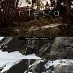 Unity – InTerra ~ Terrain Features | VFX Shaders v1.3.0