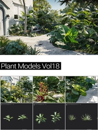MAXTREE - Plant Models Vol 18