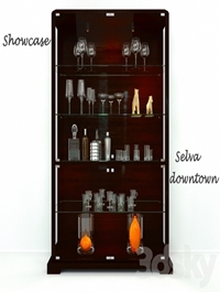 Showcase Selva downtown