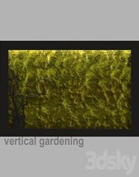 Vertical gardening is stable moss