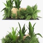 Cgtrader – Flowerbed Palm