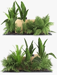 Cgtrader - Flowerbed Palm