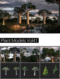 MAXTREE - Plant Models Vol 41