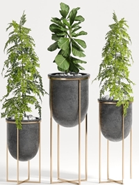 Plant set 80