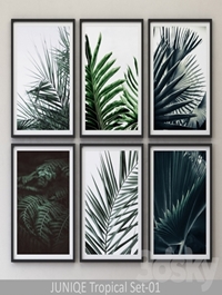 Tropical Set-01 Framed