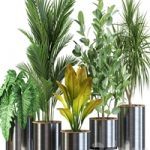 Plants collection 547