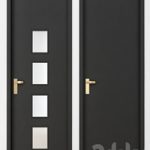 Black modern door