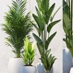 PLANTS 208