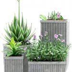 PLANTS 209