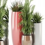 Plants collection 100 Awesomeplanters
