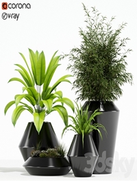 Plants collection 133 Westelm Modern Planters
