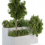 Outdoor Plants Concrete Box – Set 45
