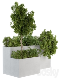 Outdoor Plants Concrete Box - Set 45