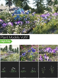 MAXTREE - Plant Models Vol 91