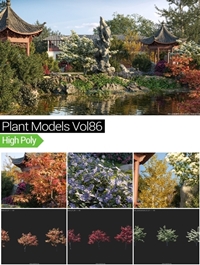 MAXTREE - Plant Models Vol 86