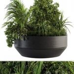 Outdoor Plants tree in Concrete Pot – Set 144