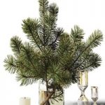 Bouquet of pine branches in a glass vase