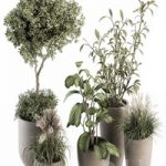 indoor Plant Set 264 – Plant Set in pot