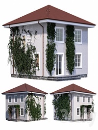 Two-storey house with ivy