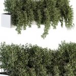 ivy plants in box – Outdoor Set 80