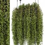 Indoor Hanging Plants in Metal Box – Set 192