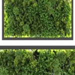 vertical garden169