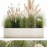 Plant collection 1077. pampas grass, reeds, flower bed, bushes, landscaping, white, flower bed, natural decor